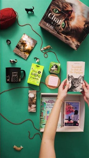 🐱 🐾 Coffret livres 𝗖𝗛𝗔𝗧 : une expérience pleine de tendresse !