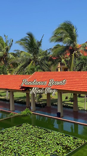12K views · 243 reactions | Mini Vlog | Pandanus Resort Mui Ne ❤️ | Pandanus Resort | Facebook