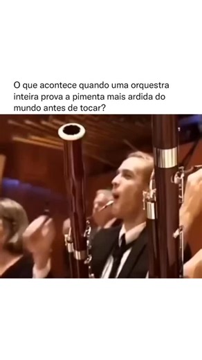 Espetacular on Instagram: "Em 2014, a Danish National Chamber Orchestra (conhecida hoje como Danish Chamber Orchestra) protagonizou um dos espetáculos mais inusitados da música clássica moderna: tocaram o tango “Tango Jalousie”, de Jacob Gade, logo após consumirem algumas das pimentas mais fortes do mundo, entre elas a Carolina Reaper, a Trinidad Scorpion Moruga Blend e a Ghost Pepper. A ideia era ousada: o músico e entusiasta de pimentas Claus Pilgaard, também conhecido como “Chili Klaus”, conv