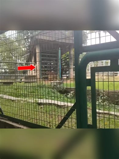 Membuat Kebun Binatang Di Minecraft: Part 4