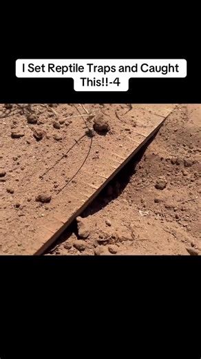 Checker-Welt (@checkerwelt7)’s videos with original sound - Checker-Welt