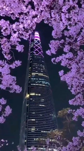 This South Korea View Feels Unreal 😳🌸| tanya telugu vlogs #southkorea #cherryblossomseason #shorts