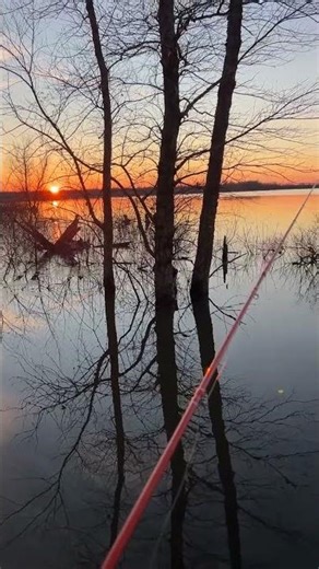 Worse day #crappiefishing beats the ending * watch til end * #funnyfishingvideo #crappie #pooping