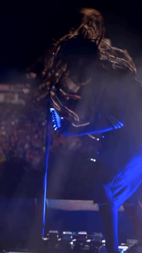Jonathan Davis: El arte de los dreads