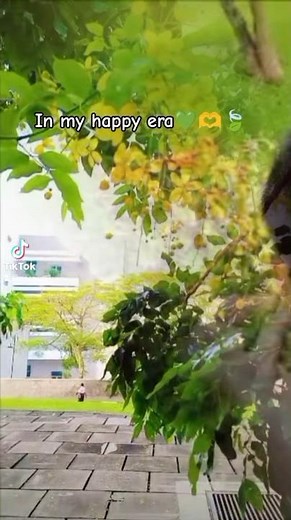 Univercity එකේ දවසක්💚🍃|Exam Day| NSBM