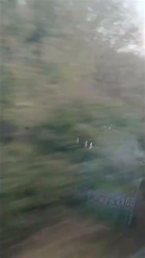 Southeastern Class 395 Sandwich