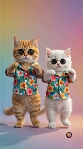 Two Cute Cats Dancing Together 😻🐱 | Funny Cat Dance #Shorts