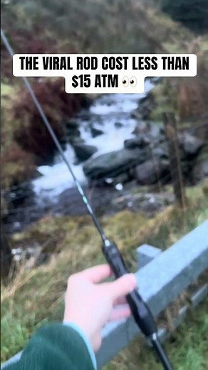 Best Budget Fishing Rods (Part 1) 🎣💸 | CHEAP but SHOCKINGLY Good