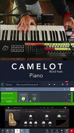 Live performance setup on your iPad with Camelot Pro as your trusted host!