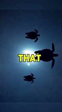 They tried to tear down the "old rusted mailbox." Then I found the 1950s letter!