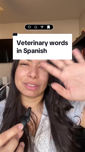 Explaining Glucose Curve in Spanish for Veterinary Clients