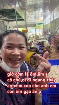 dạ hoannhyx xin giúp các con và xem hết video kg thương hoan hỹ lướt qua ạ #yeudongvat #dongvat