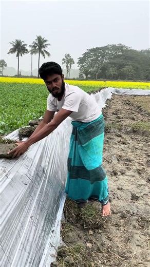 জমিতে পলি দেওয়া কি জন্য #agriculture #vairalvideo