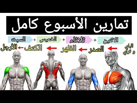 خطة تدريبية لمدة اسبوع كامل لبناء العضلات | تمارين كمال الأجسام