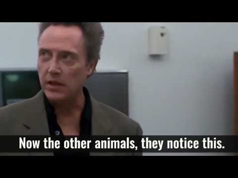 The Lion Speech | Best Version | Christopher Walken, Poolhall Junkies