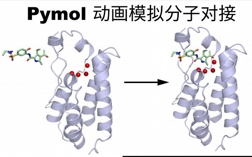 Pymol-移动对象-模拟分子对接