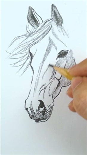 How to Draw a Horse Easily ✨Tutorial✨ #drawing #art #sketch