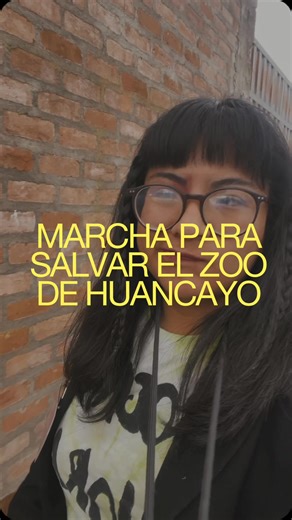 #CapCut #marcha #zoologicodehuancayo #huancayo #coordinación