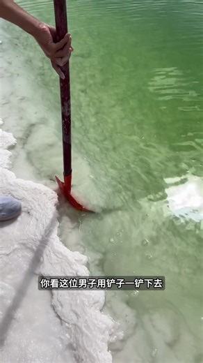 每顿吃的盐巴 | food eating video