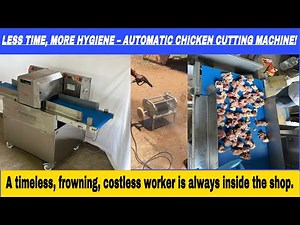 Chicken cutting machine #chicken #chickencuts #cooking #recipe #hygiene