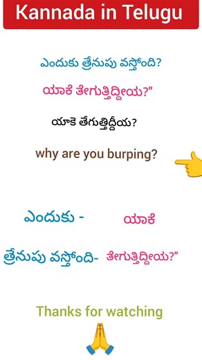 Daily use kannada sentences through Telugu and English.@learnmultilanguages