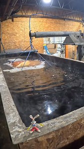 Pulling this 1973 dodge charger out of the alkaline tank and going over it after its first pressure washing. #classiccars #restoration #automotive | Minute_of_dangle