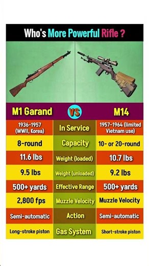 M1 Garand vs M14 Rifle #comparison #m14headshot #m1garand #rifle #weaponsystems #battlerifle #shorts