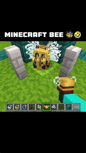 Fire 🔥 Hack with Minecraft BEE 🐝🤣 #minecraftshorts