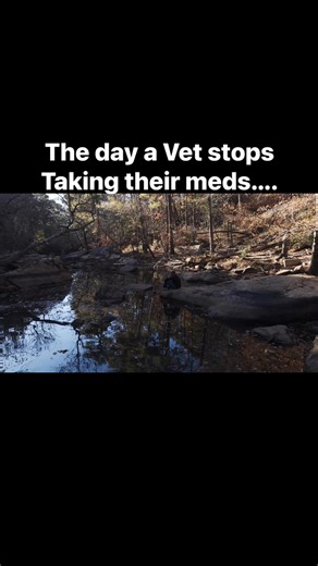 185K views · 4.1K reactions | No hashtag | Amarok Wolf | Facebook