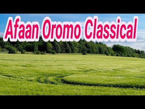 Beautiful Timeless Afaan Oromo Classical Music (Bareedaa Yeroo hundaa Afaan Oromoo Classical Musiqa)