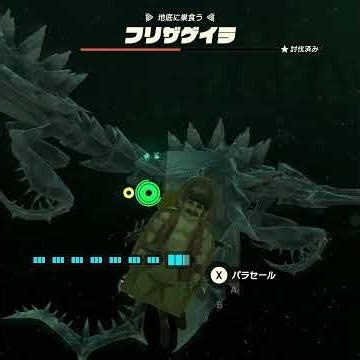 【ティアキン】ナラスシの根付近のフリザゲイラ ゼルダの伝説ティアーズ オブ ザ キングダムNintendo Switch 2 Edition #ティアキン #shorts