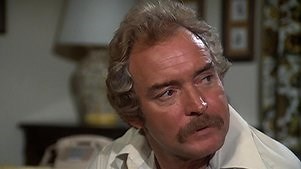 The Incredible Hulk [1977]: Season 1 Episode 16 A Child in Need