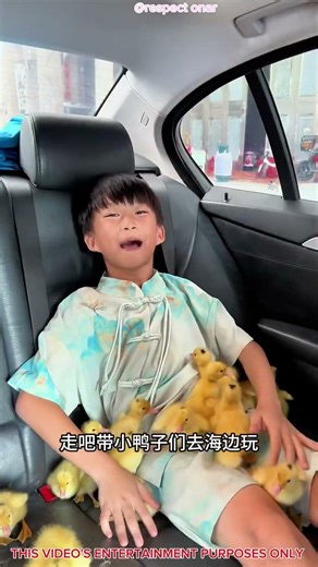 Boy Become Chicks Mom 🐥 Cute Beach Story #shorts #shortvideo