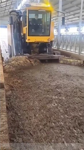 Manure removal in livestock farms – good tools and machinery improve work efficiency