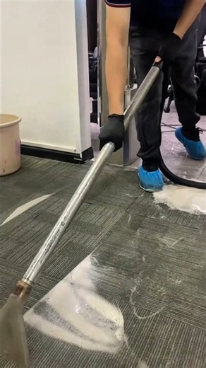 Cleaning a Carpet with a Vacuum Cleaner | Removing Dust and Water Efficiently