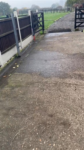 13K views · 211 reactions | Taking Sam back out after our ride, never miss an opportunity to train, didn’t know paul was about. | Samson the clydesdale | Facebook