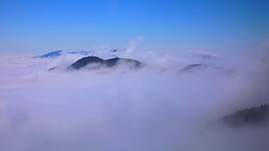 64K views · 624 reactions | Enjoy an enchanting sea of blooming azaleas~~ #flower #azalea #beauty #mountain #hill #nature #spring #season #scenery #aerial #bloomingChina #chinatravel #hunan | romanticplus | Facebook