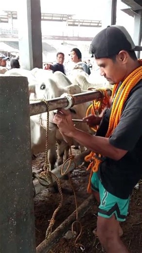 Sanay na tumusok kaya basic na lang sa kanya