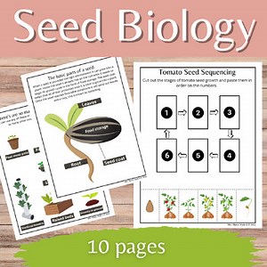 Seed Biology Mini Unit Sequencing Plant Growth, Experiments - Elementary Science