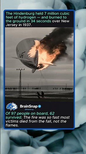 The Hindenburg Disaster Explained