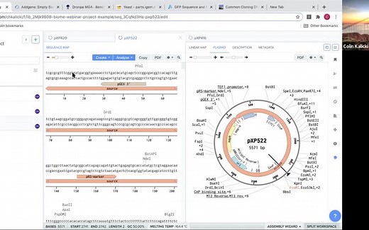 「Benchling」用 Benchling如何研究質粒 How to Design Plasmids Benchling Tutorial