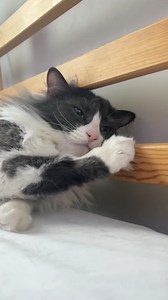 This is ME time, not WE time! 🤣💥 | This is Happening