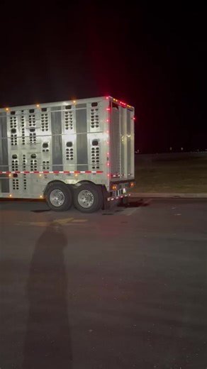 Thank you A. Helms Trucking for sharing this video | I love Cattle trucks