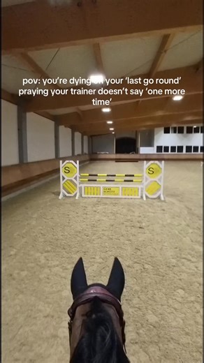 The Equestrian Dilemma: One More Round!