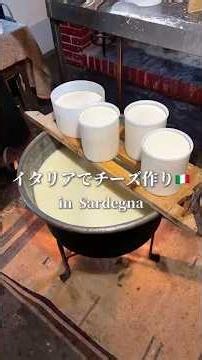イタリアでチーズ作り🇮🇹