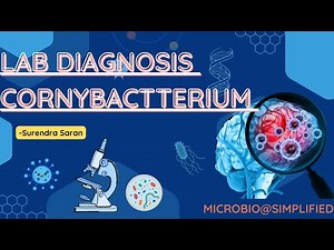 Corynebacterium by Surendra saran, Morphology, Pathogenesis & Lab Diagnosis. Microbiology Simplified