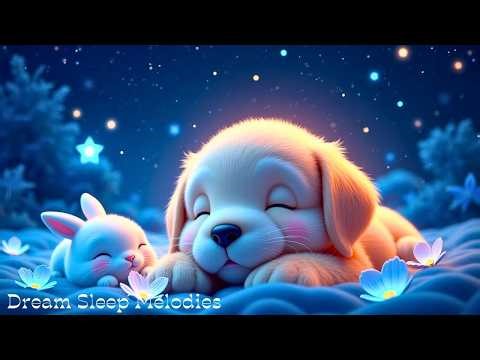 Fall Asleep Quickly 😴 Relaxing Sleep Music to Stop Overthinking & Calm Anxiety