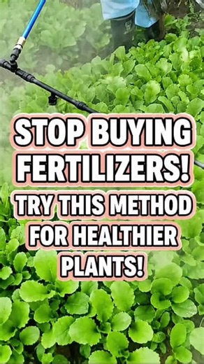 Stop buying fertilizer!! #gardentips #fertilizer #agriculturelife #gardenhacks #pesticides