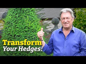 From Hedge Trimming to Topiary Art: Tips to Transform Your Garden