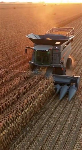 Feeding Tomorrow with Today’s Technology” #FutureFarming #AgTechInnovation #RiceHarvest